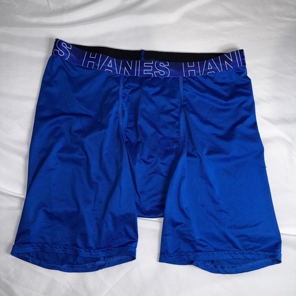 Hanes Men's Blue Boxer Briefs